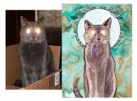 Glowy Eyed Cat